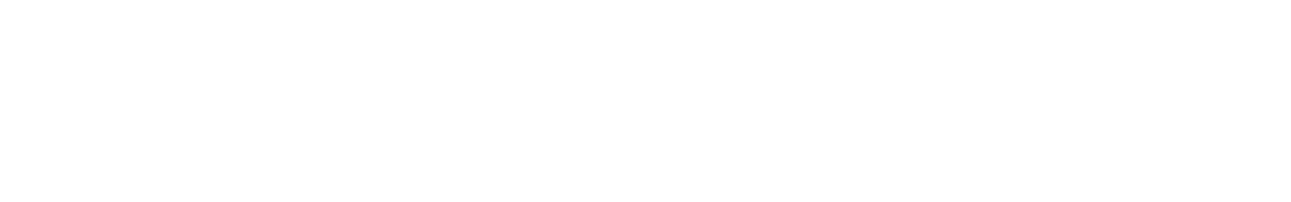 SEO Sinhala