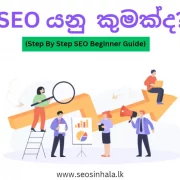 What is SEO | SEO යනු කුමක්ද