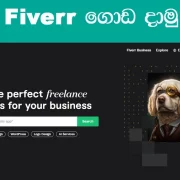 Fiverr Sinhala guide