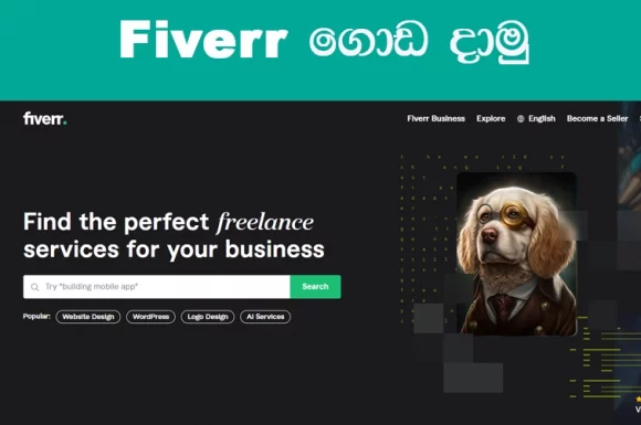 Fiverr Sinhala | Fiverr ගැන හැමදේම සිංහලෙන් ඉගෙනගමු