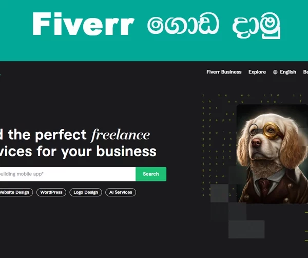 Fiverr Sinhala | Fiverr ගැන හැමදේම සිංහලෙන් ඉගෙනගමු